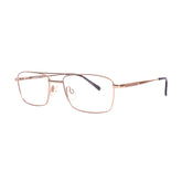 Charmant Eyeglasses | CH16135